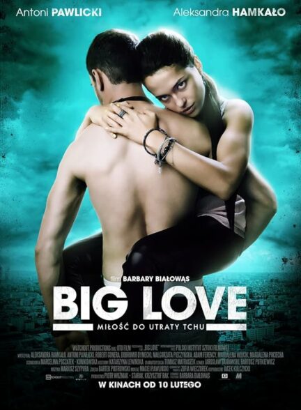 دانلود فیلم Big Love 2012